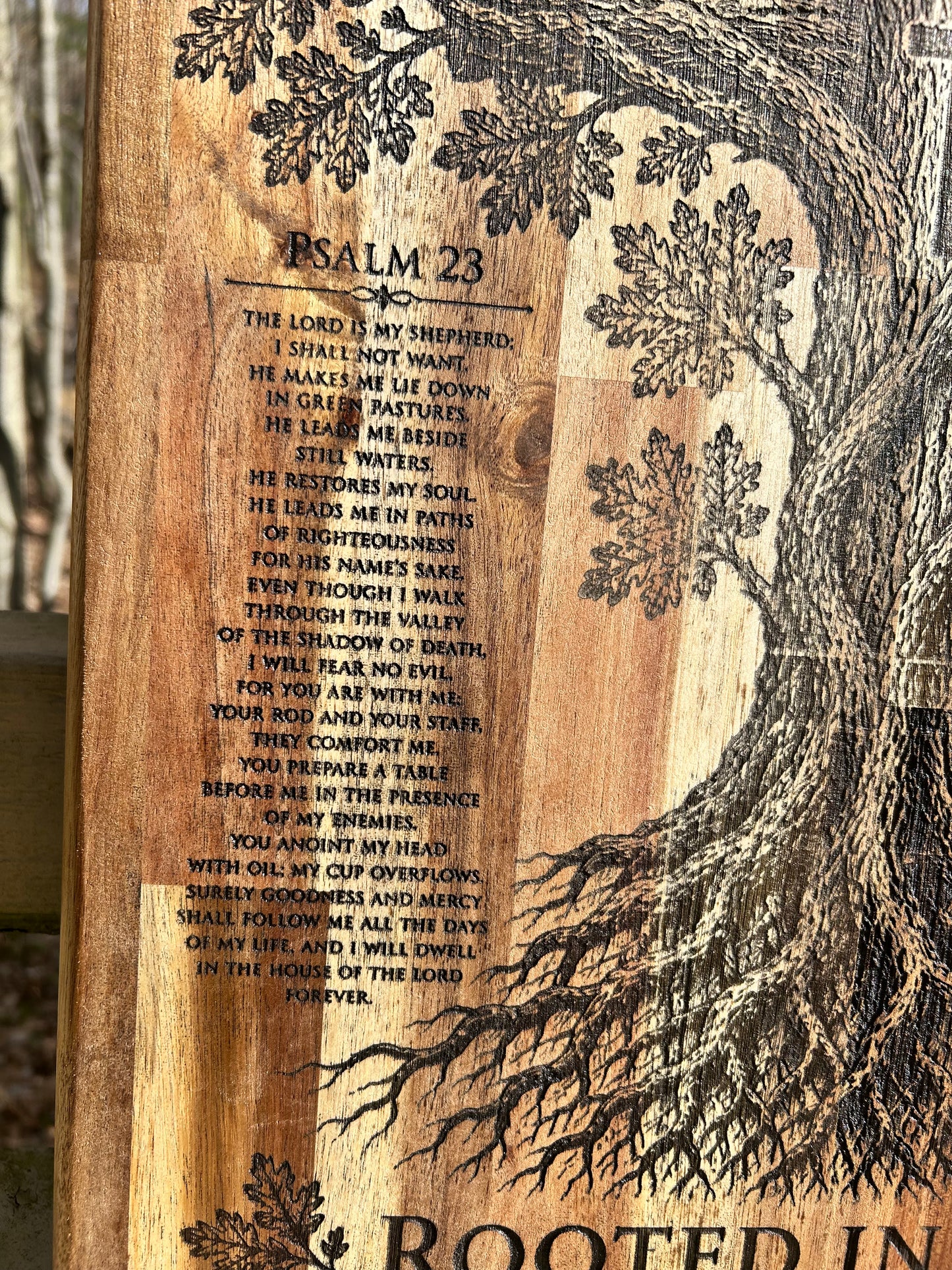 Deeply Rooted (Acacia)