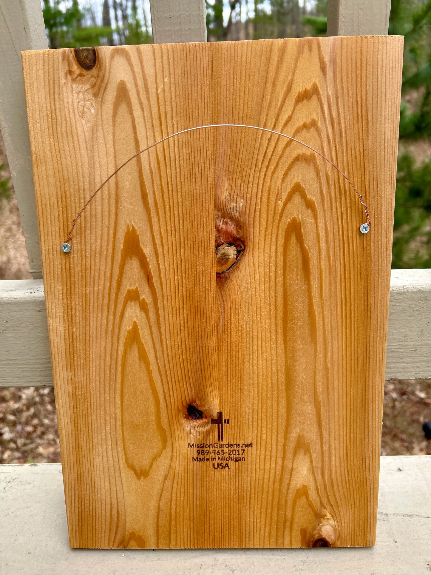 Saviors Cross