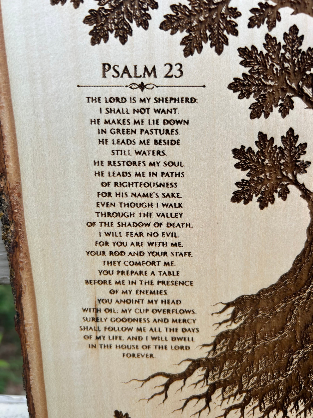 Deeply Rooted