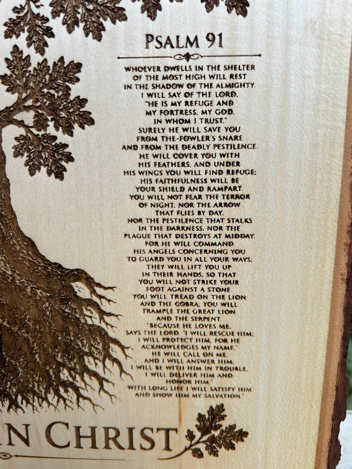 Deeply Rooted